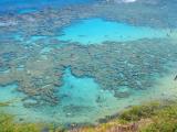 Oahu Tours Oahu Tours